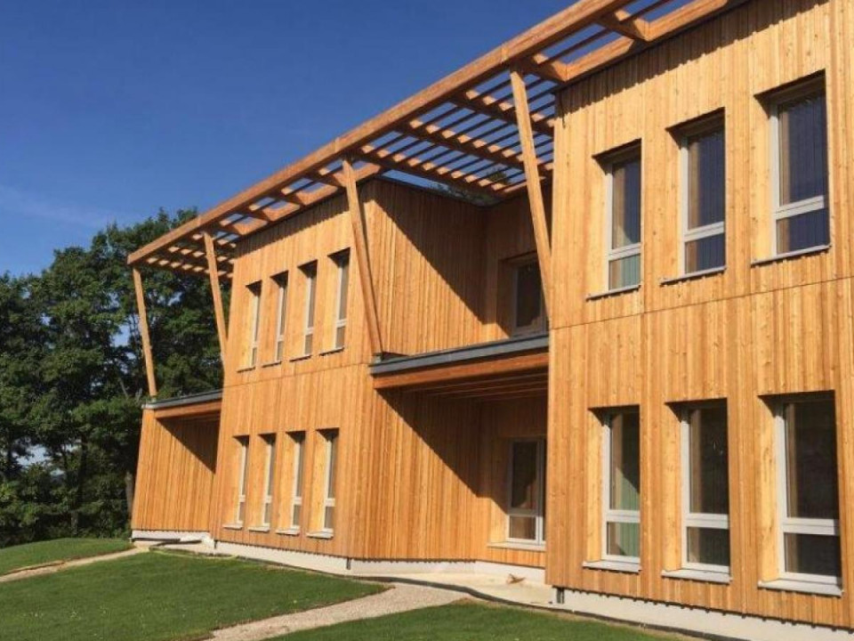 Puu tuli Keski-Euroopan koulurakentamiseen omilla vahvuuksillaan