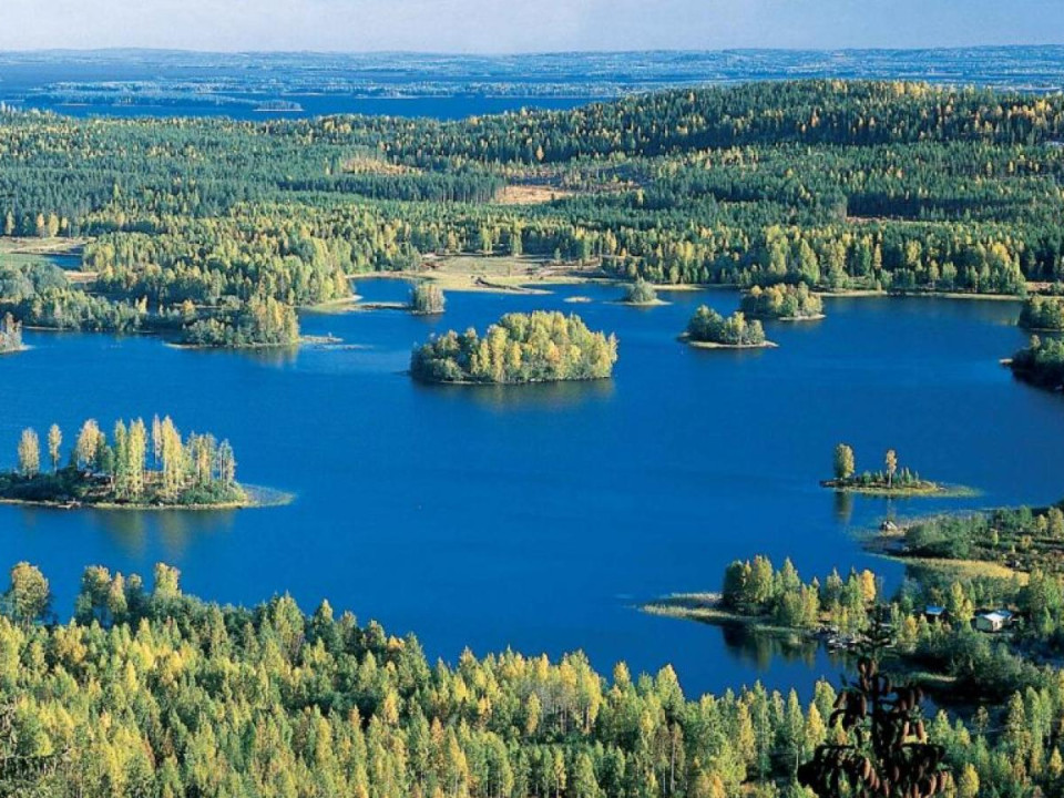 Eurooppalaista yhteistyötä puun käytön edistämiseksi