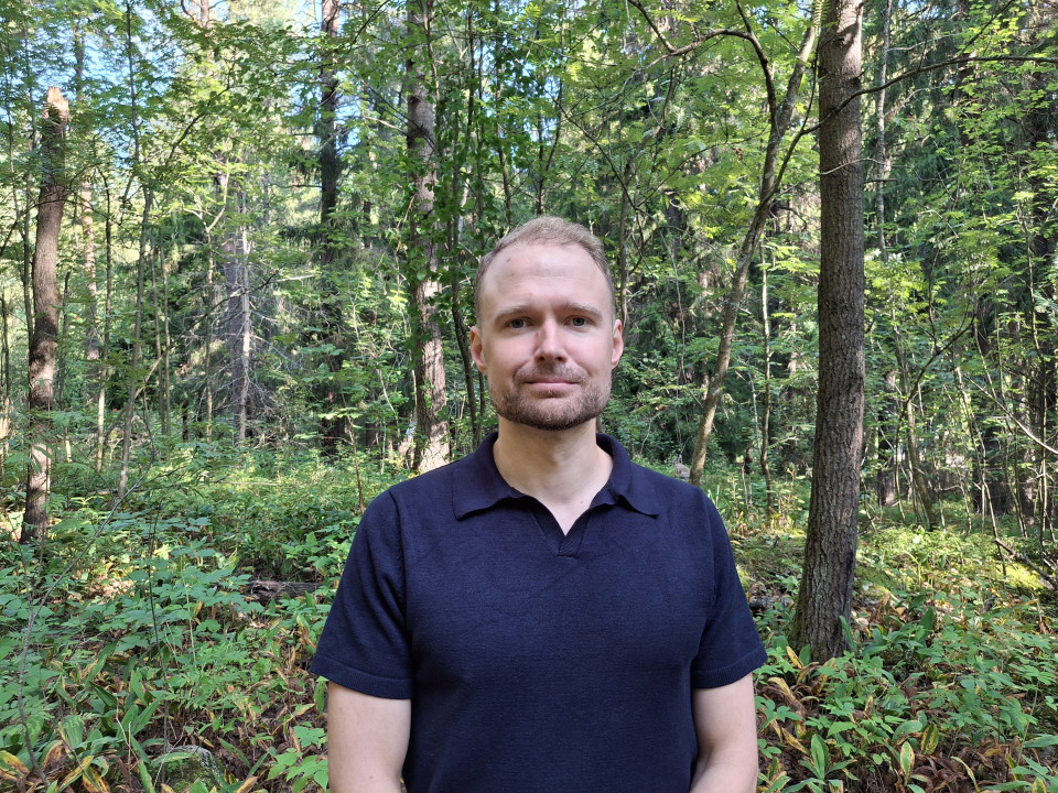 Kaavoitusta ei tule käyttää metsäsuojelun välineenä