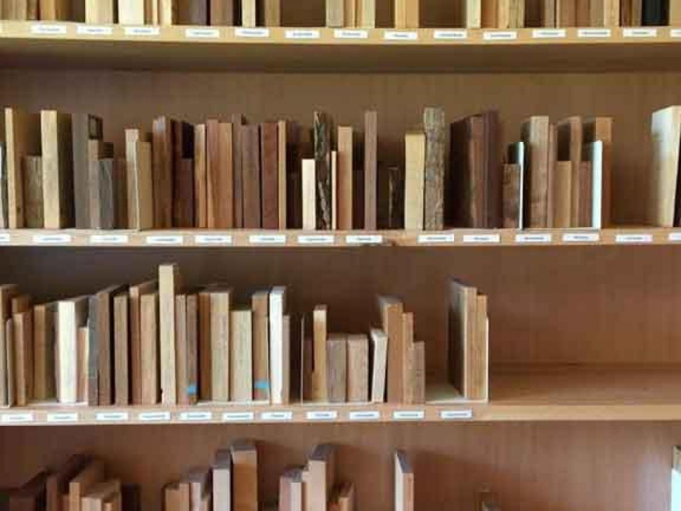 Käytännönläheisesti Kuchlissa