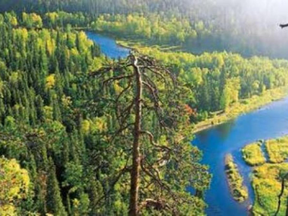 Politiikka ohjaa rakentamista