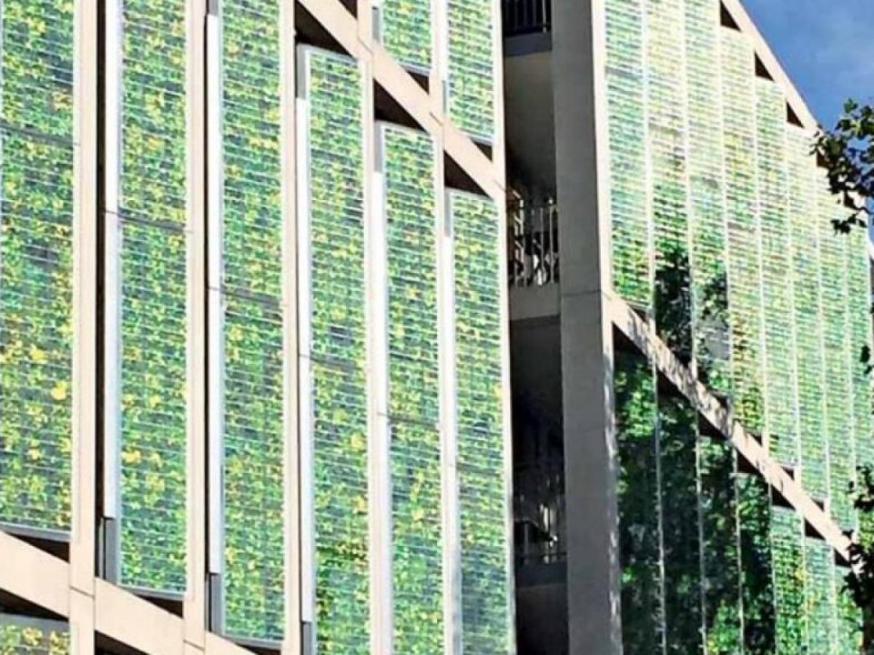 Lontoo rakentaa puusta