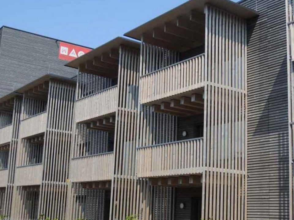 Teollinen tuotanto vetää puurakentamista