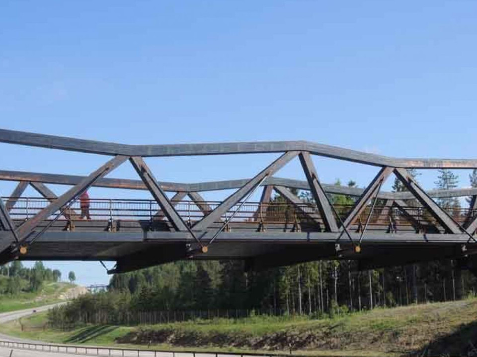 Norjassa hallitus tukee ja edistää puusiltojen rakentamista